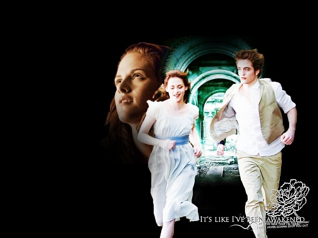 New-Moon-twilight-series-8571058-1024-768 -  