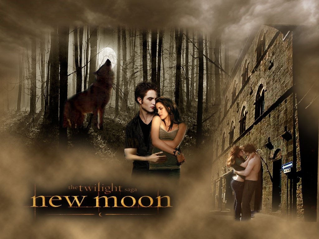 Twilight-Saga-twilight-series-8012920-1024-768 -  