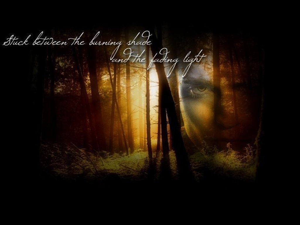new-moon-twilight-series-8816514-1024-768 -  