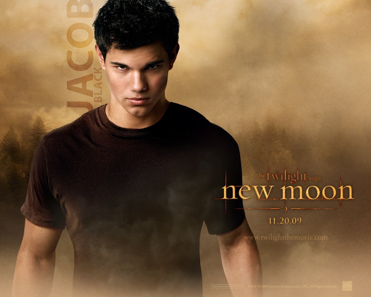 EXCLUSIVE-New-Moon-wallpapers-twilight-series-7245231-1280-1024 -  