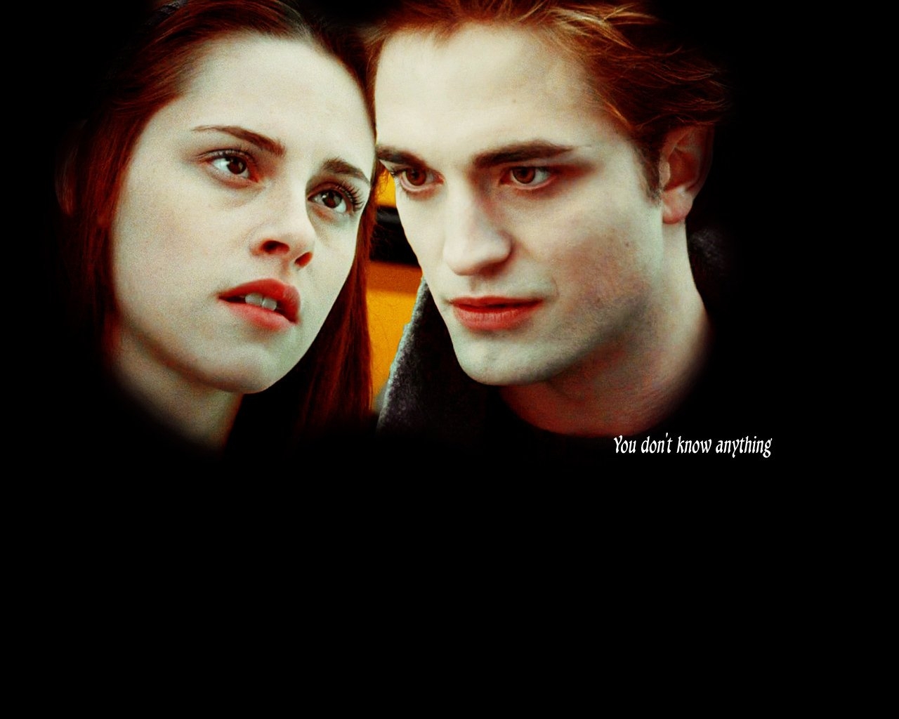 Twilight-Saga-twilight-series-8438707-1280-1024 -  