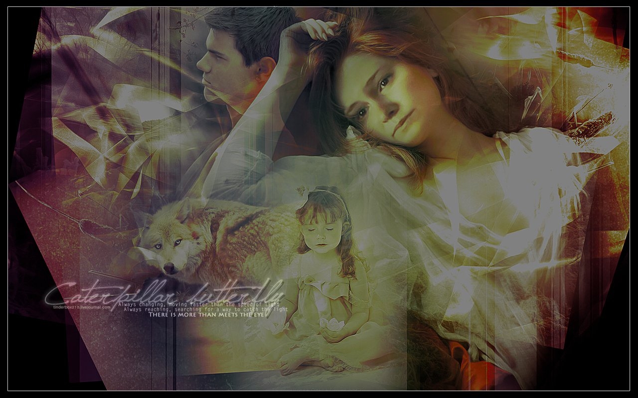 2009-twilight-twilight-series-7800210-1280-800 -  
