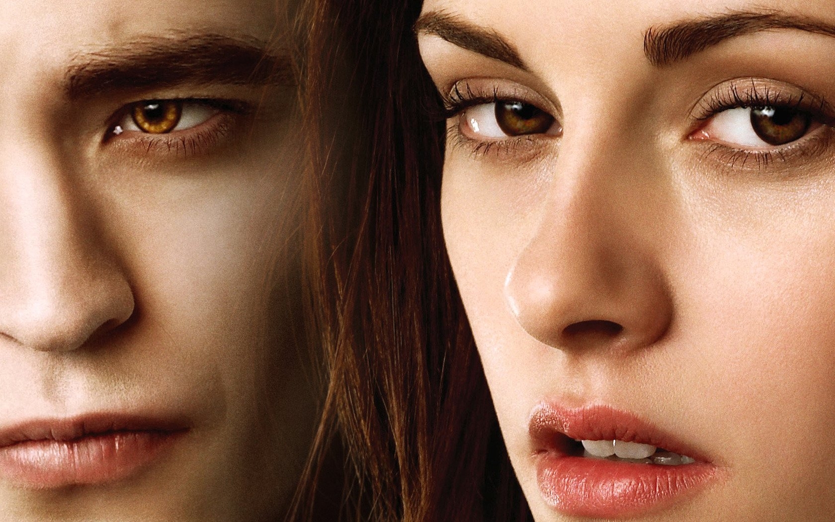 Twilight-Series-twilight-series-8764838-1680-1050 -  