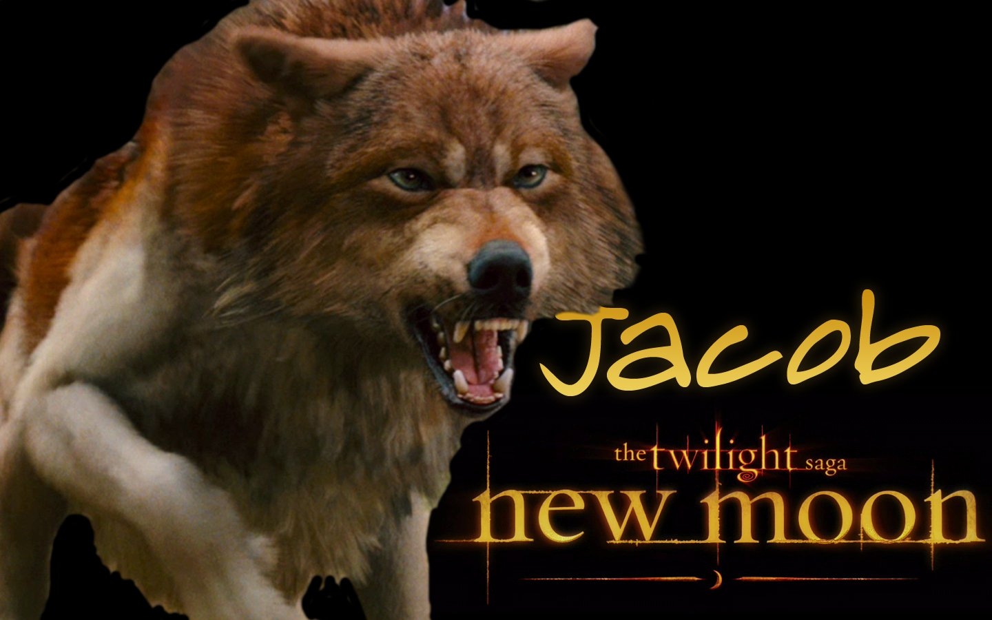 New_Moon_Wallpaper___Jacobr -  