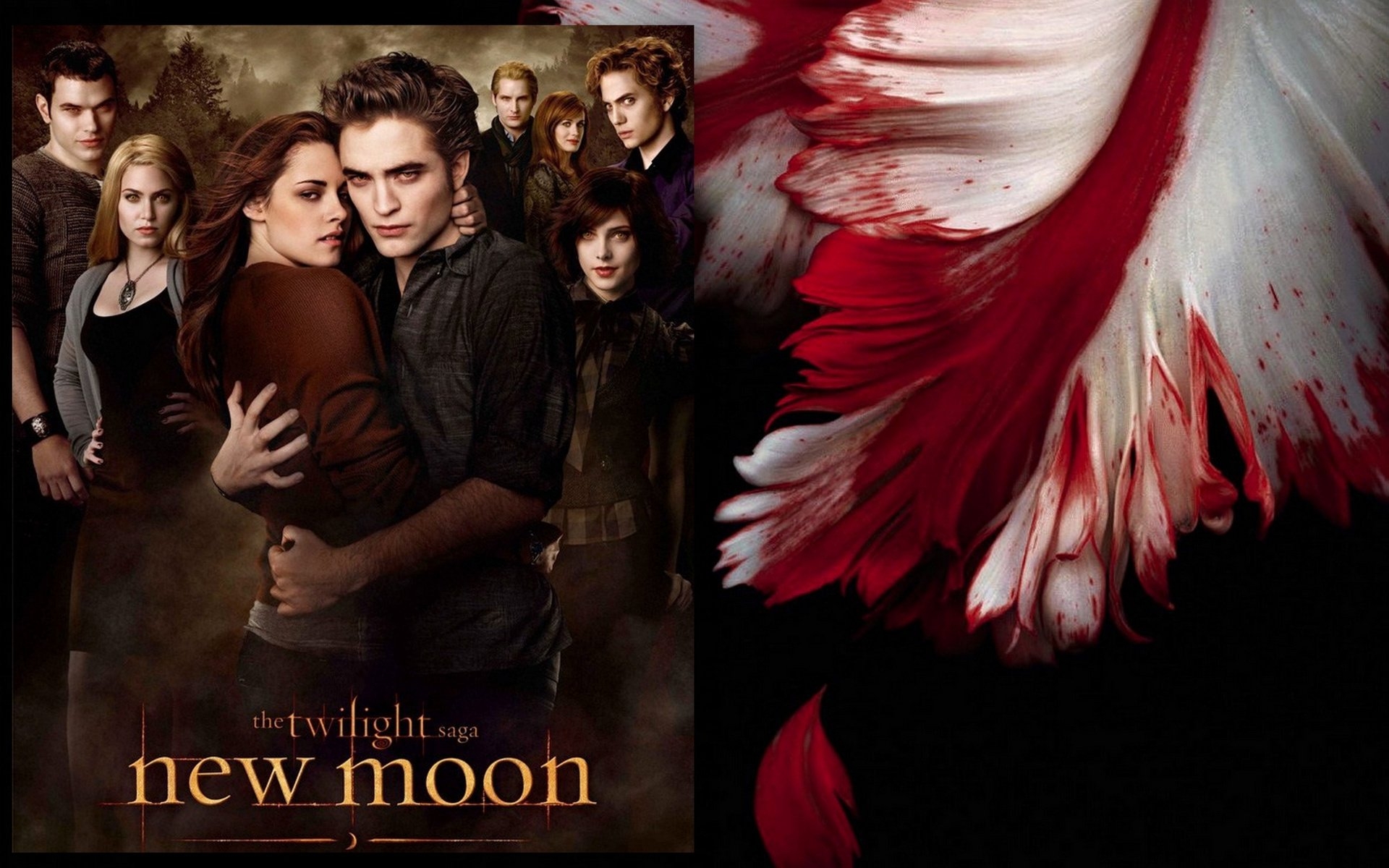 New-Moon-Wallpaper-2-twilight-series-8394252-1920-1200 -  