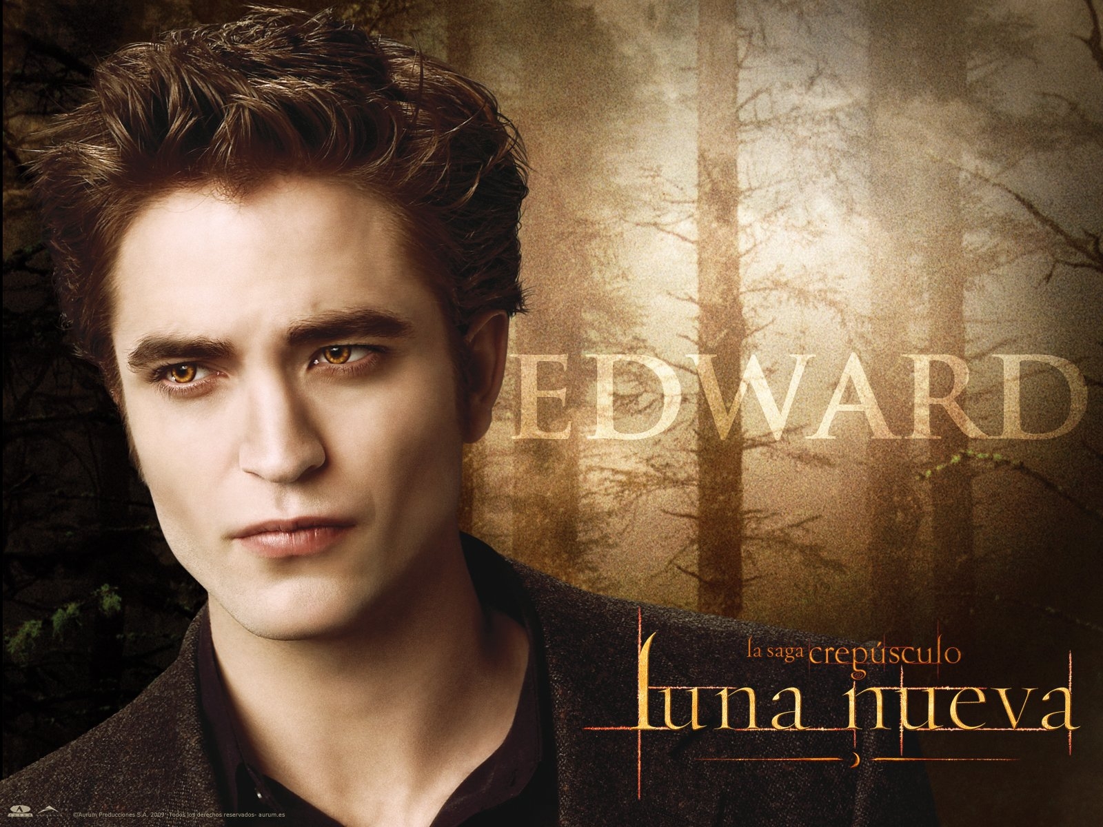 The-Twilight-Saga-New-Moon-Wallpapers21 -  