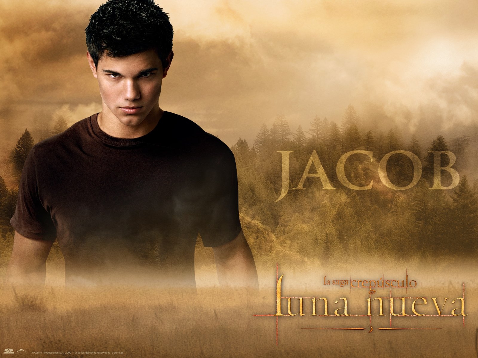 The-Twilight-Saga-New-Moon-Wallpapers22 -  