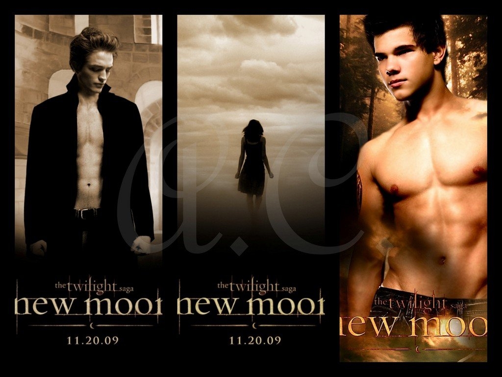 Edward-Bella-Jacob-twilight-series-6665008-1024-768 - сумреки обои