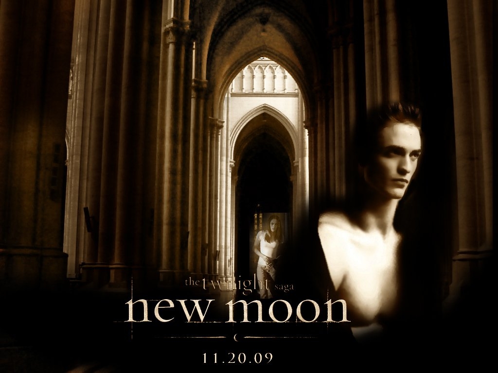New-Moon-twilight-series-5413154-1024-768 -  