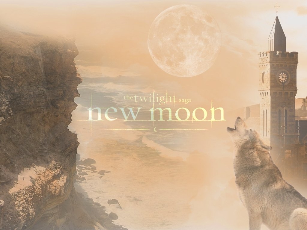New-Moon-twilight-series-5644177-1024-768 -  