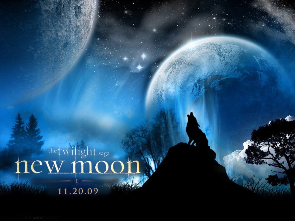 The-Twilight-saga-New-Moon-twilight-series-4882955-1024-768 - сумреки обои