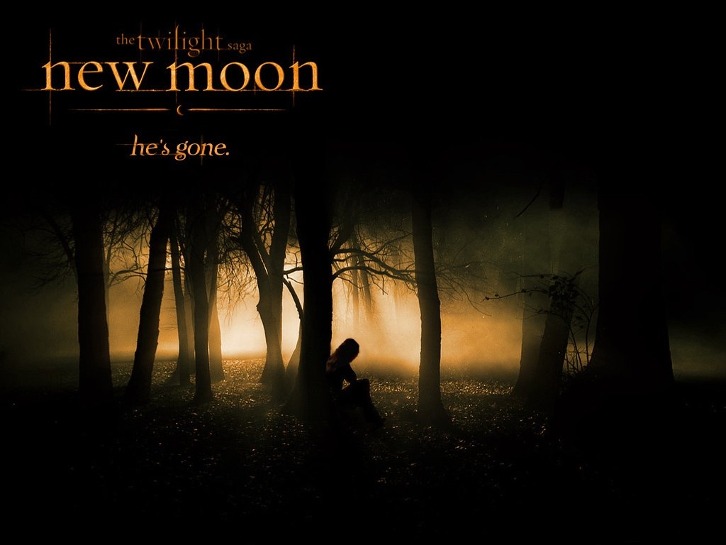 new-moon-twilight-series-7047116-1024-768 - сумреки обои