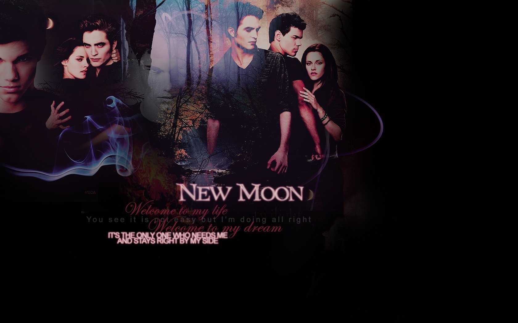 New-Moon-twilight-series-8014783-1680-1050 -  