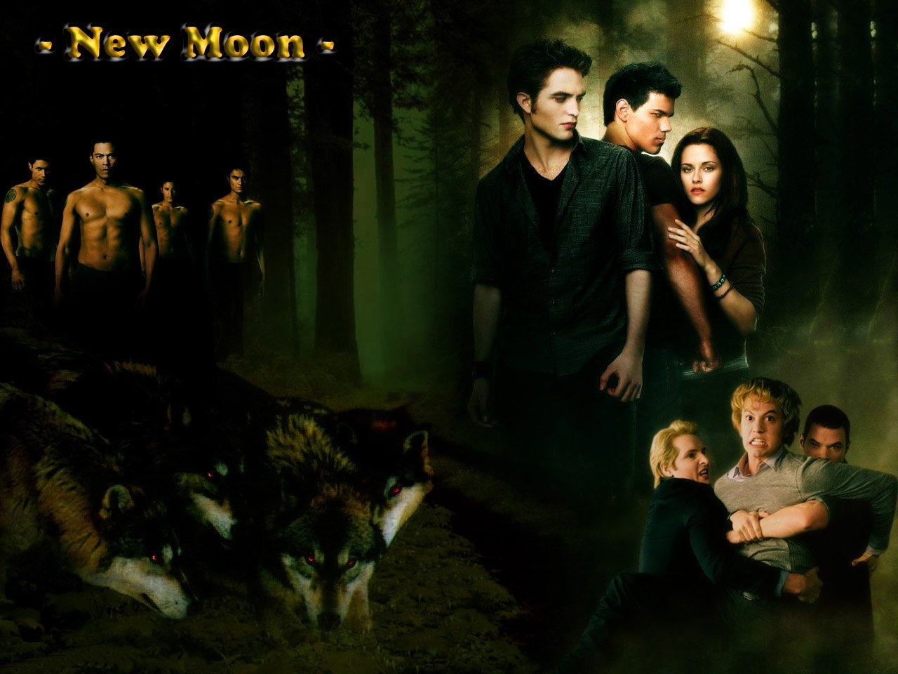 New-Moon-twilight-series-7680217-1280-960 - сумреки обои